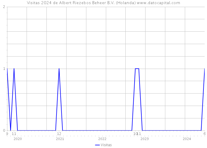 Visitas 2024 de Albert Riezebos Beheer B.V. (Holanda) 