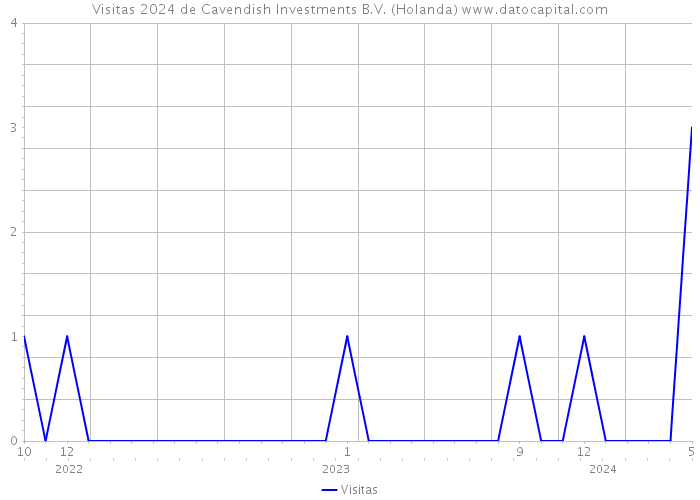 Visitas 2024 de Cavendish Investments B.V. (Holanda) 