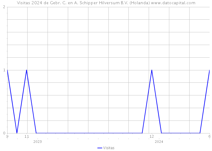 Visitas 2024 de Gebr. C. en A. Schipper Hilversum B.V. (Holanda) 