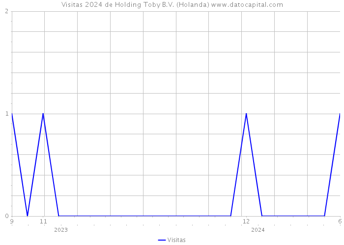 Visitas 2024 de Holding Toby B.V. (Holanda) 