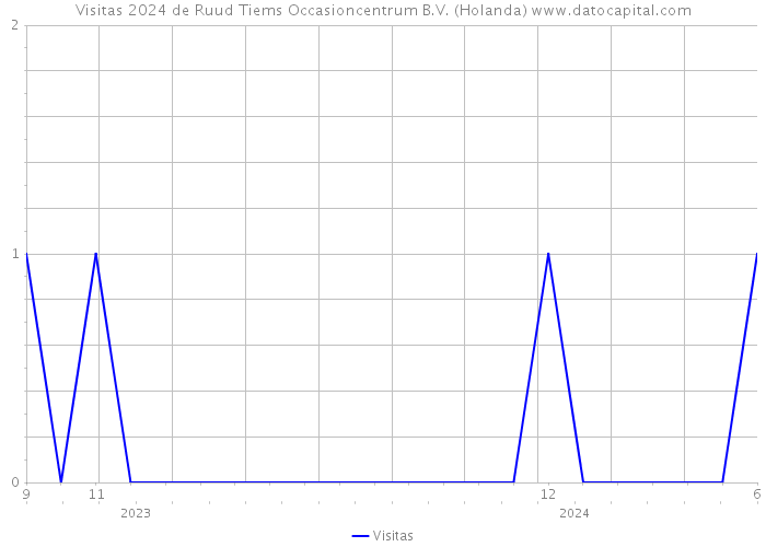 Visitas 2024 de Ruud Tiems Occasioncentrum B.V. (Holanda) 