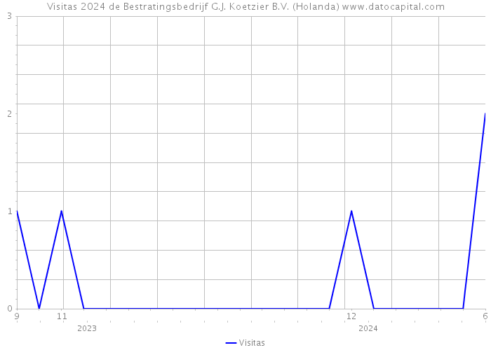 Visitas 2024 de Bestratingsbedrijf G.J. Koetzier B.V. (Holanda) 