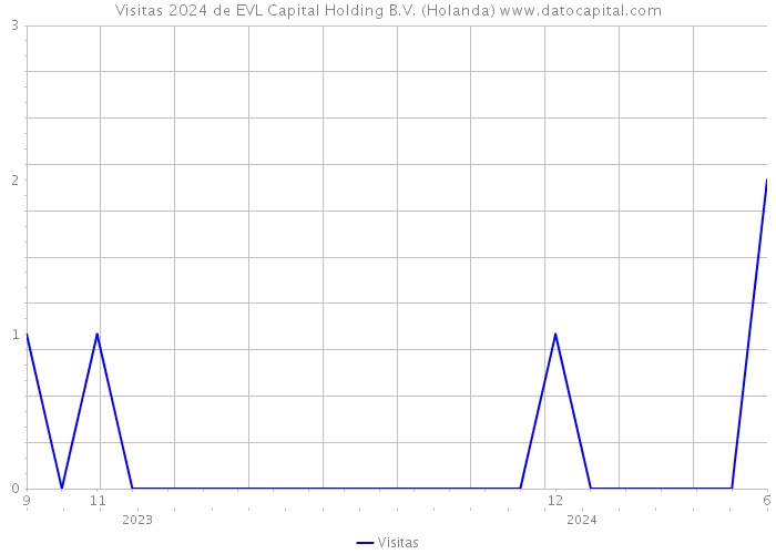 Visitas 2024 de EVL Capital Holding B.V. (Holanda) 