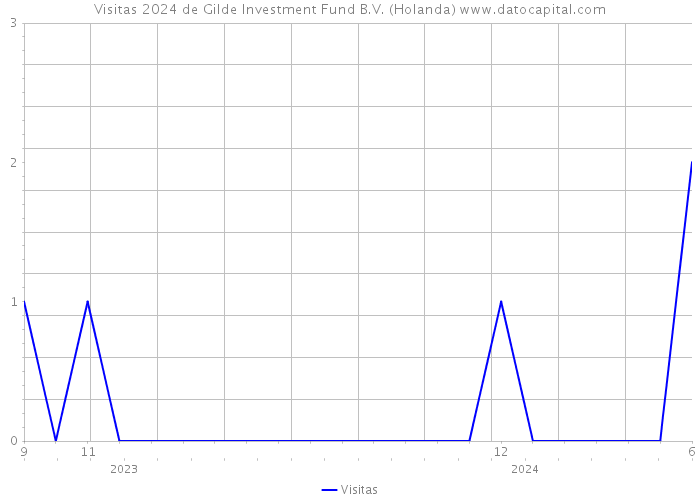 Visitas 2024 de Gilde Investment Fund B.V. (Holanda) 