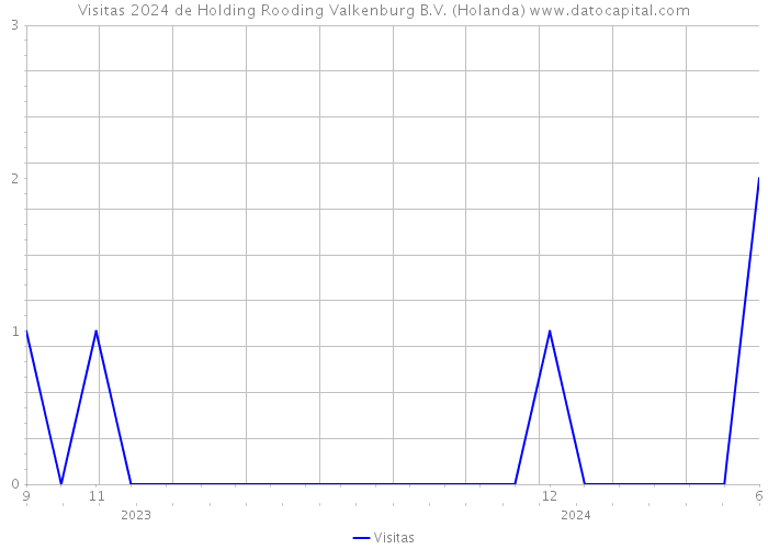 Visitas 2024 de Holding Rooding Valkenburg B.V. (Holanda) 