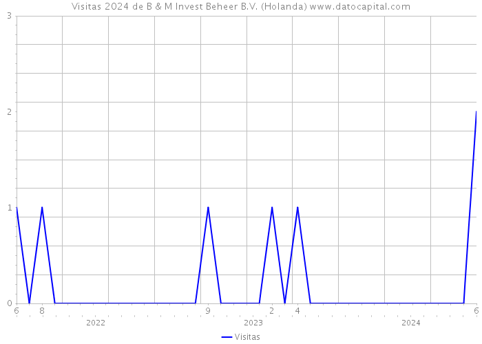 Visitas 2024 de B & M Invest Beheer B.V. (Holanda) 