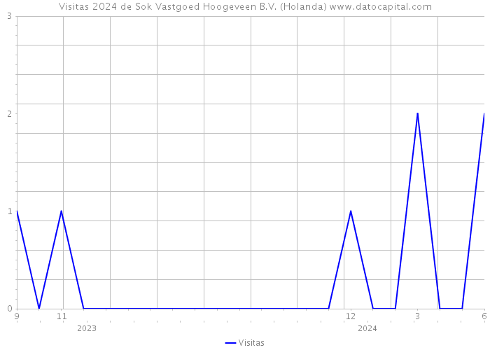 Visitas 2024 de Sok Vastgoed Hoogeveen B.V. (Holanda) 