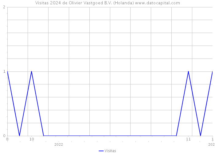 Visitas 2024 de Olivier Vastgoed B.V. (Holanda) 