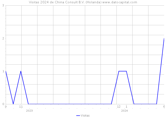 Visitas 2024 de China Consult B.V. (Holanda) 