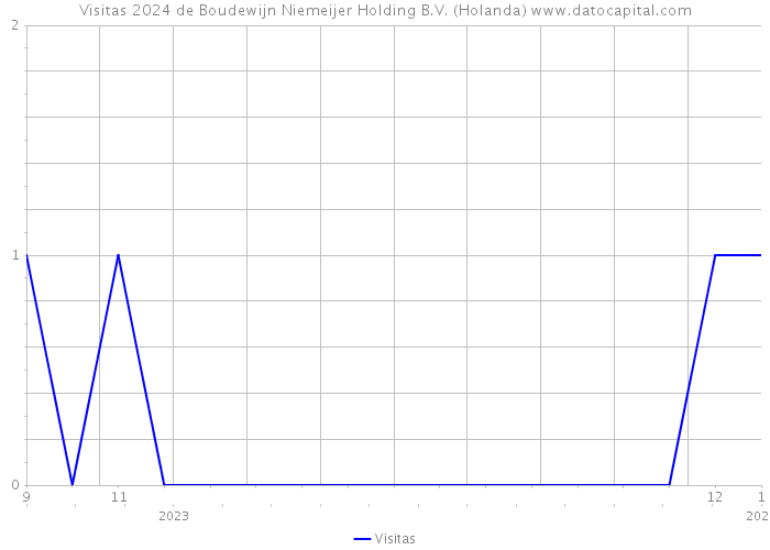 Visitas 2024 de Boudewijn Niemeijer Holding B.V. (Holanda) 