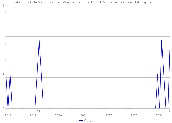 Visitas 2024 de Van Voskuilen Woudenberg Verhuur B.V. (Holanda) 