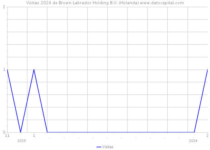 Visitas 2024 de Brown Labrador Holding B.V. (Holanda) 