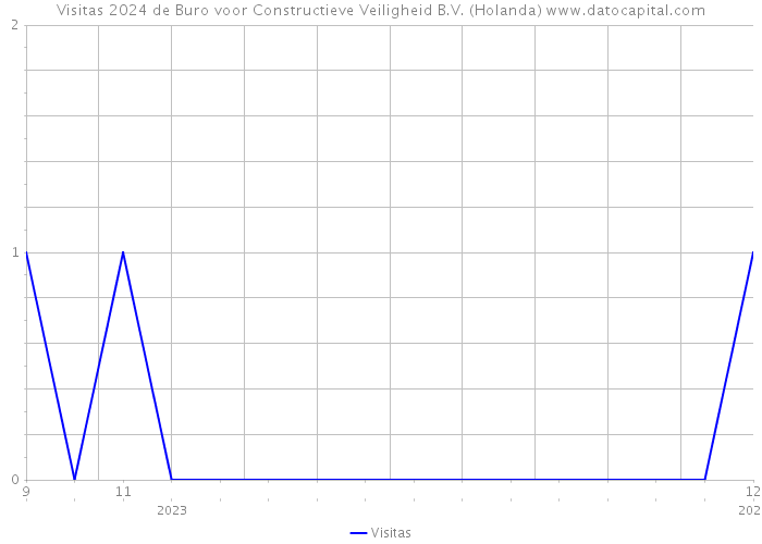 Visitas 2024 de Buro voor Constructieve Veiligheid B.V. (Holanda) 