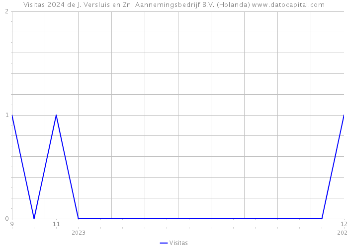 Visitas 2024 de J. Versluis en Zn. Aannemingsbedrijf B.V. (Holanda) 