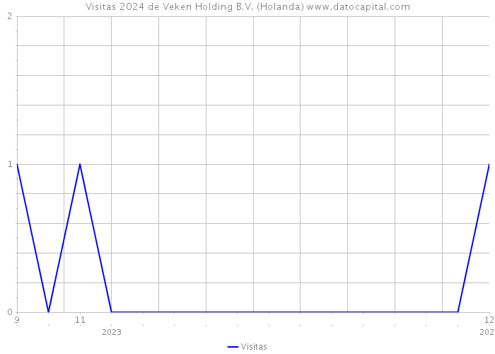 Visitas 2024 de Veken Holding B.V. (Holanda) 