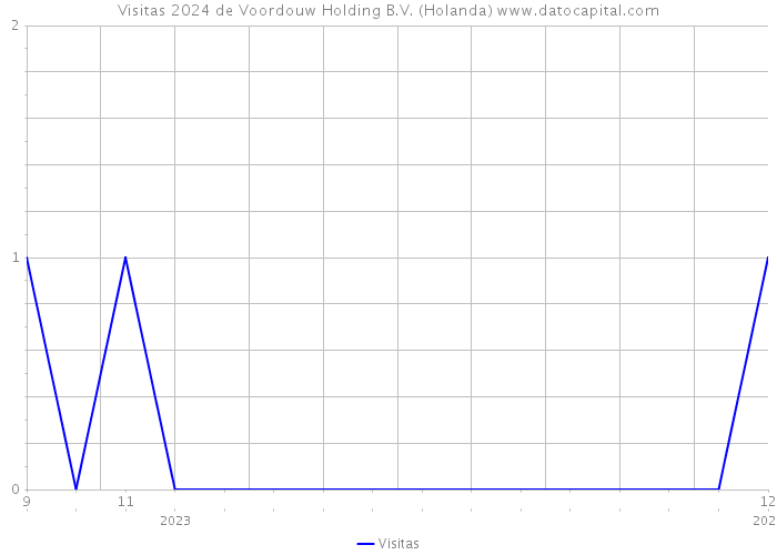 Visitas 2024 de Voordouw Holding B.V. (Holanda) 