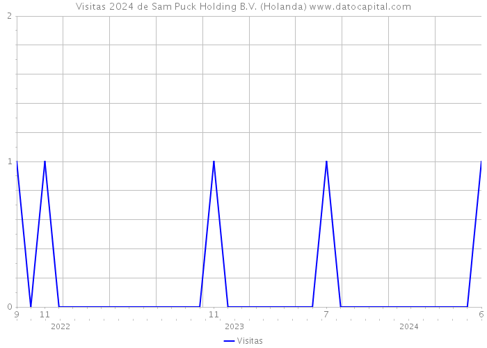 Visitas 2024 de Sam Puck Holding B.V. (Holanda) 