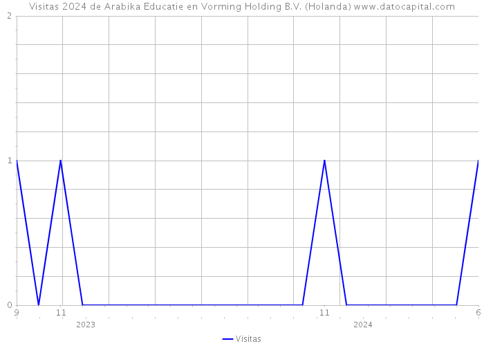 Visitas 2024 de Arabika Educatie en Vorming Holding B.V. (Holanda) 