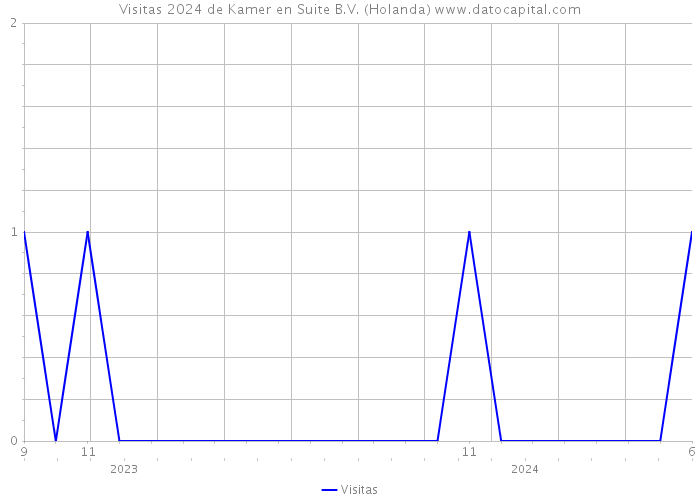 Visitas 2024 de Kamer en Suite B.V. (Holanda) 