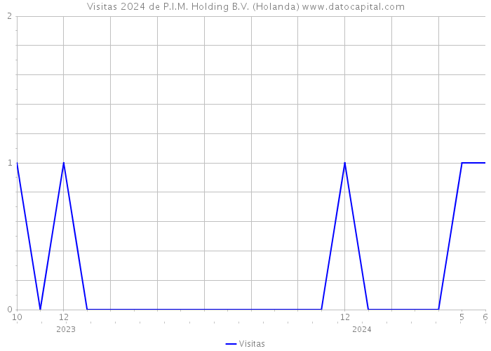 Visitas 2024 de P.I.M. Holding B.V. (Holanda) 