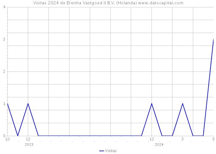 Visitas 2024 de Erenha Vastgoed II B.V. (Holanda) 