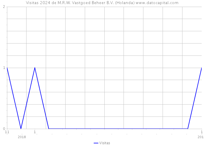 Visitas 2024 de M.R.W. Vastgoed Beheer B.V. (Holanda) 