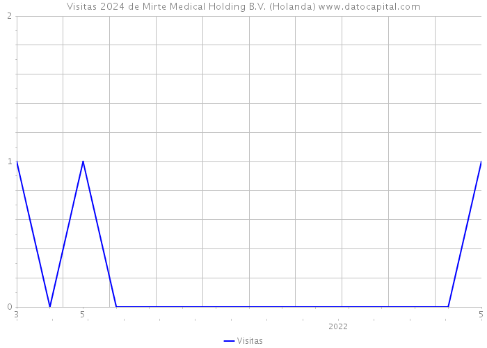 Visitas 2024 de Mirte Medical Holding B.V. (Holanda) 