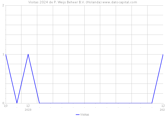 Visitas 2024 de P. Weijs Beheer B.V. (Holanda) 