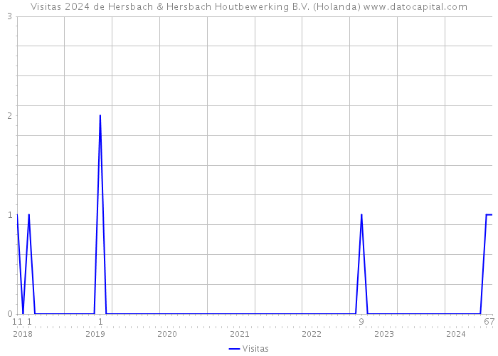 Visitas 2024 de Hersbach & Hersbach Houtbewerking B.V. (Holanda) 