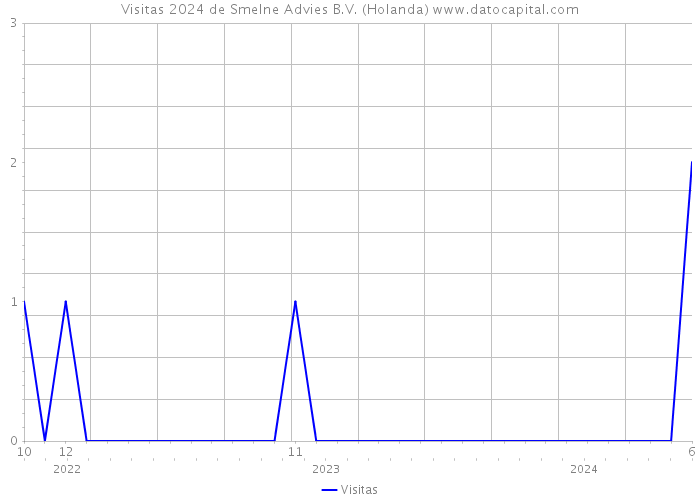 Visitas 2024 de Smelne Advies B.V. (Holanda) 