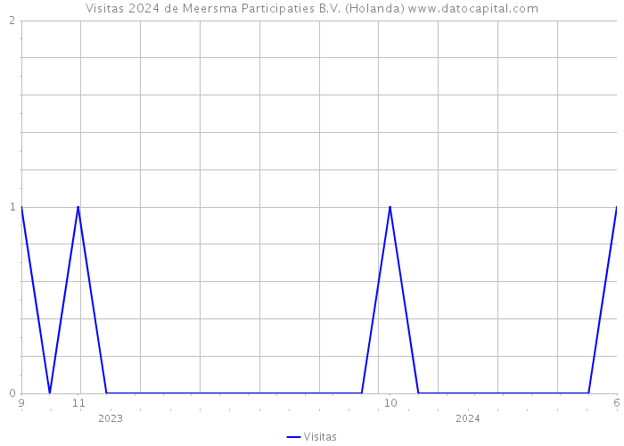 Visitas 2024 de Meersma Participaties B.V. (Holanda) 