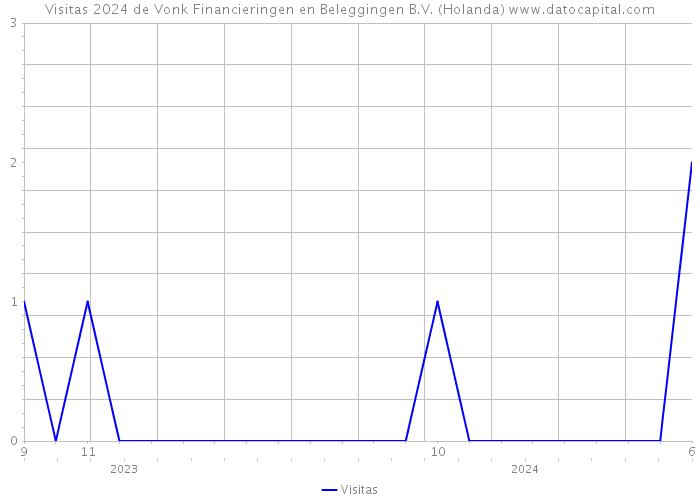 Visitas 2024 de Vonk Financieringen en Beleggingen B.V. (Holanda) 