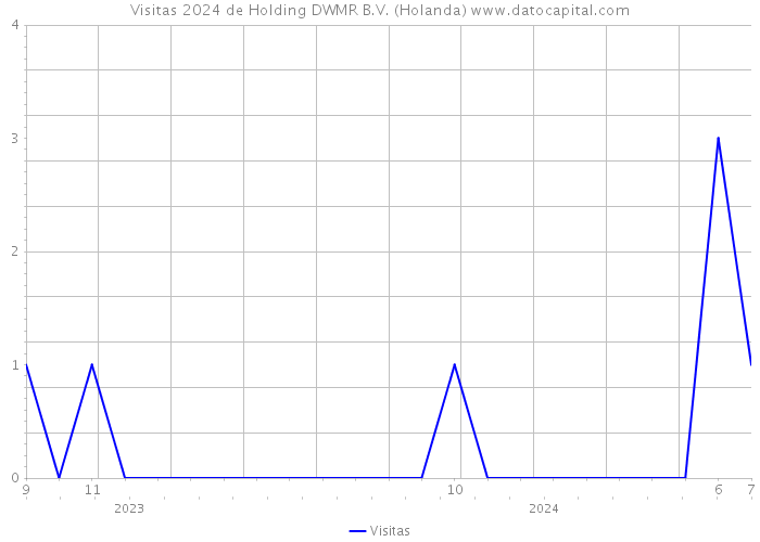 Visitas 2024 de Holding DWMR B.V. (Holanda) 