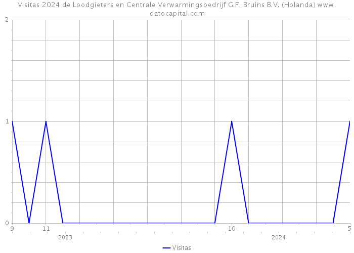 Visitas 2024 de Loodgieters en Centrale Verwarmingsbedrijf G.F. Bruins B.V. (Holanda) 