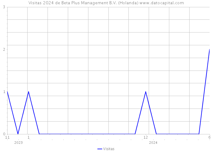 Visitas 2024 de Beta Plus Management B.V. (Holanda) 