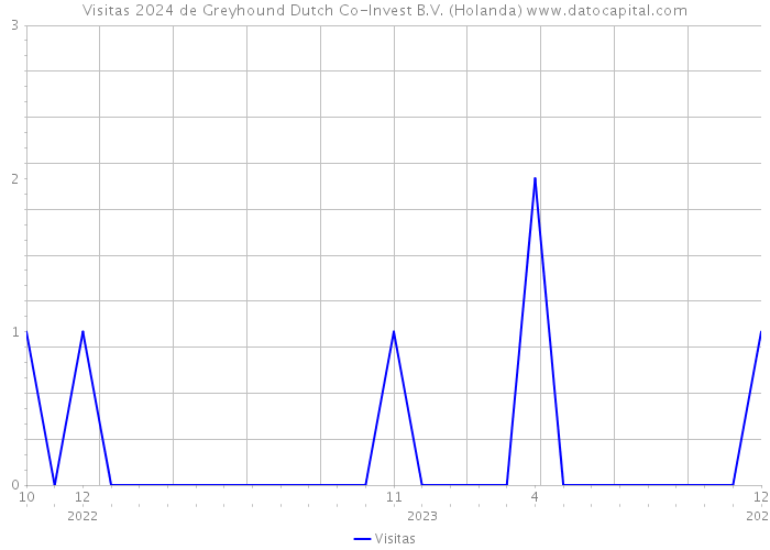 Visitas 2024 de Greyhound Dutch Co-Invest B.V. (Holanda) 