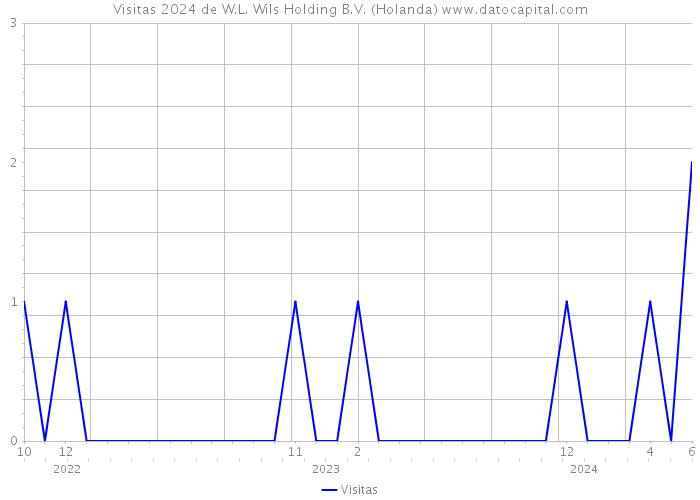 Visitas 2024 de W.L. Wils Holding B.V. (Holanda) 