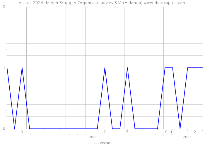 Visitas 2024 de Van Bruggen Organisatieadvies B.V. (Holanda) 