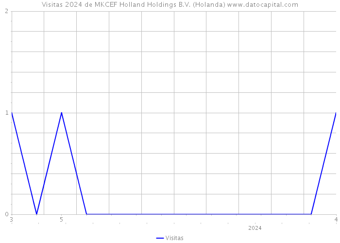 Visitas 2024 de MKCEF Holland Holdings B.V. (Holanda) 
