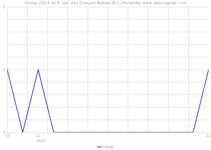 Visitas 2024 de P. van den Dungen Beheer B.V. (Holanda) 