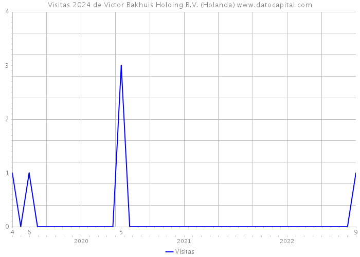 Visitas 2024 de Victor Bakhuis Holding B.V. (Holanda) 