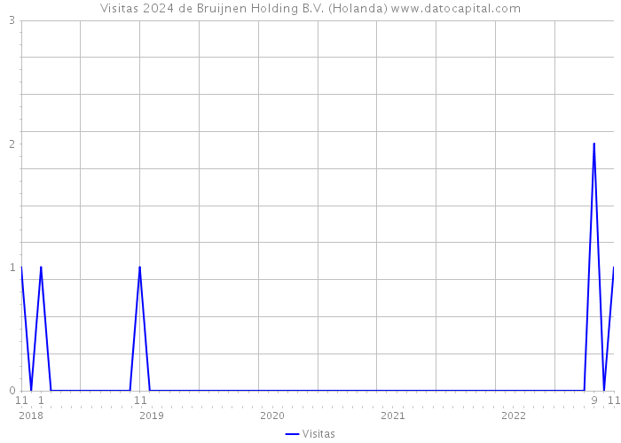Visitas 2024 de Bruijnen Holding B.V. (Holanda) 