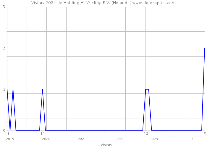 Visitas 2024 de Holding H. Vrieling B.V. (Holanda) 