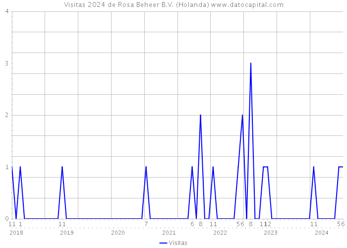 Visitas 2024 de Rosa Beheer B.V. (Holanda) 