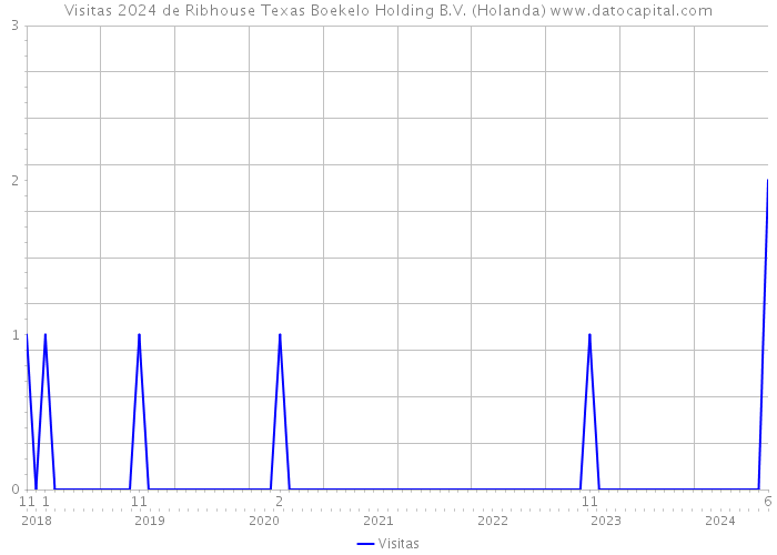 Visitas 2024 de Ribhouse Texas Boekelo Holding B.V. (Holanda) 