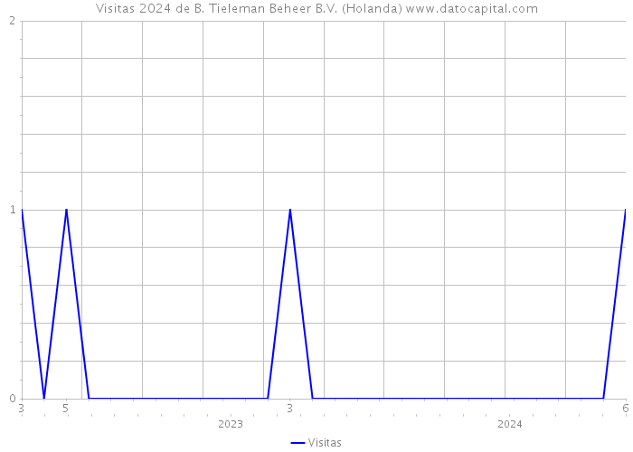 Visitas 2024 de B. Tieleman Beheer B.V. (Holanda) 