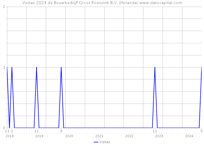 Visitas 2024 de Bouwbedrijf Groot Roessink B.V. (Holanda) 