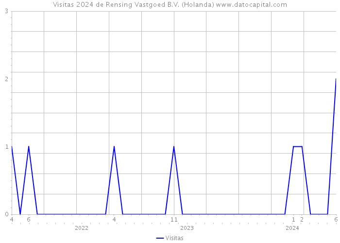 Visitas 2024 de Rensing Vastgoed B.V. (Holanda) 