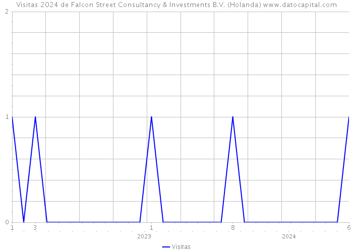 Visitas 2024 de Falcon Street Consultancy & Investments B.V. (Holanda) 