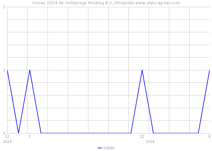 Visitas 2024 de Vollebregt Holding B.V. (Holanda) 